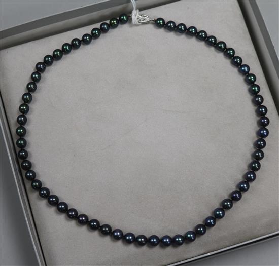A 1980s single strand cultured Tahitian pearl necklace with 9ct white gold clasp, 44cm.